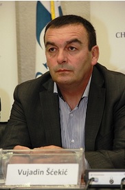 vujadin-scekic-recikleri